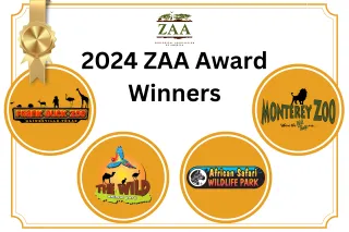 Celebrating Our 2024 ZAA Award Winners!